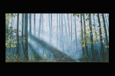 120x42